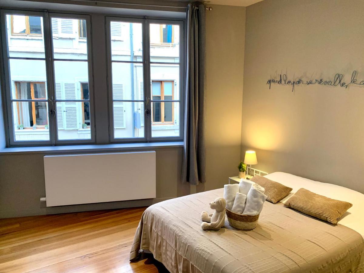 Appartement Hyper-Centre Кольмар Экстерьер фото